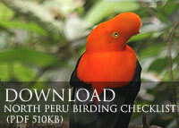 North Peru Birding checklist