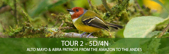 TOUR 2 – 5D/4N – Alto Mayo & Abra Patricia – From the Amazon to the Andes