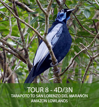 TOUR 8 – 4D/3N – Tarapoto to San Lorenzo del Marañón – Amazon Lowlands