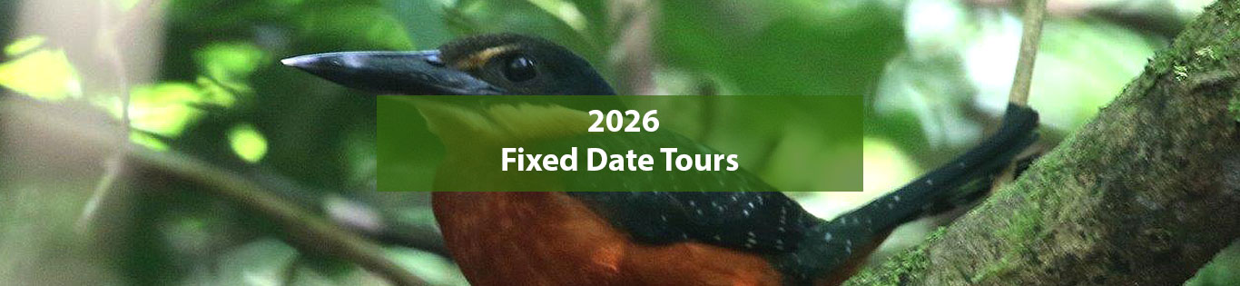 Fixed date tours