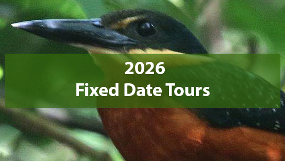 Fixed date tours