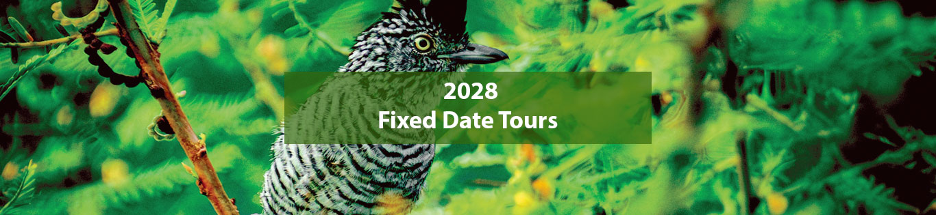 NORTH PERU TOUR ITINERARY - 2028