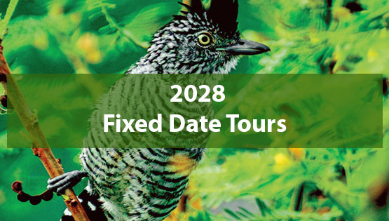 NORTH PERU TOUR ITINERARY - 2028