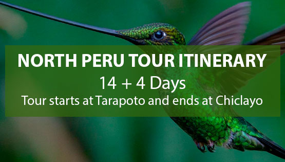 NORTH PERU TOUR ITINERARY - 14 + 4 DAYS - TOUR STARTS AT TARAPOTO AND ENDS AT CHICLAYO