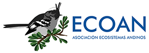 ECOAN - Asociación Ecosistemas Andinos
