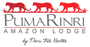 Pumarinri Amazon Lodge