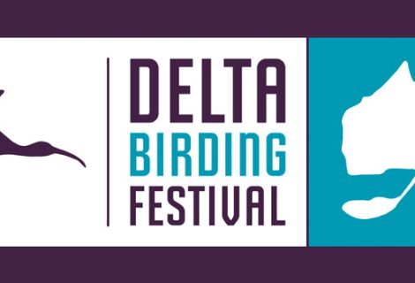 Birding North Peru at the Delta Birding Festival 2026 Birding North Peru at the Delta Birding Festival 2026